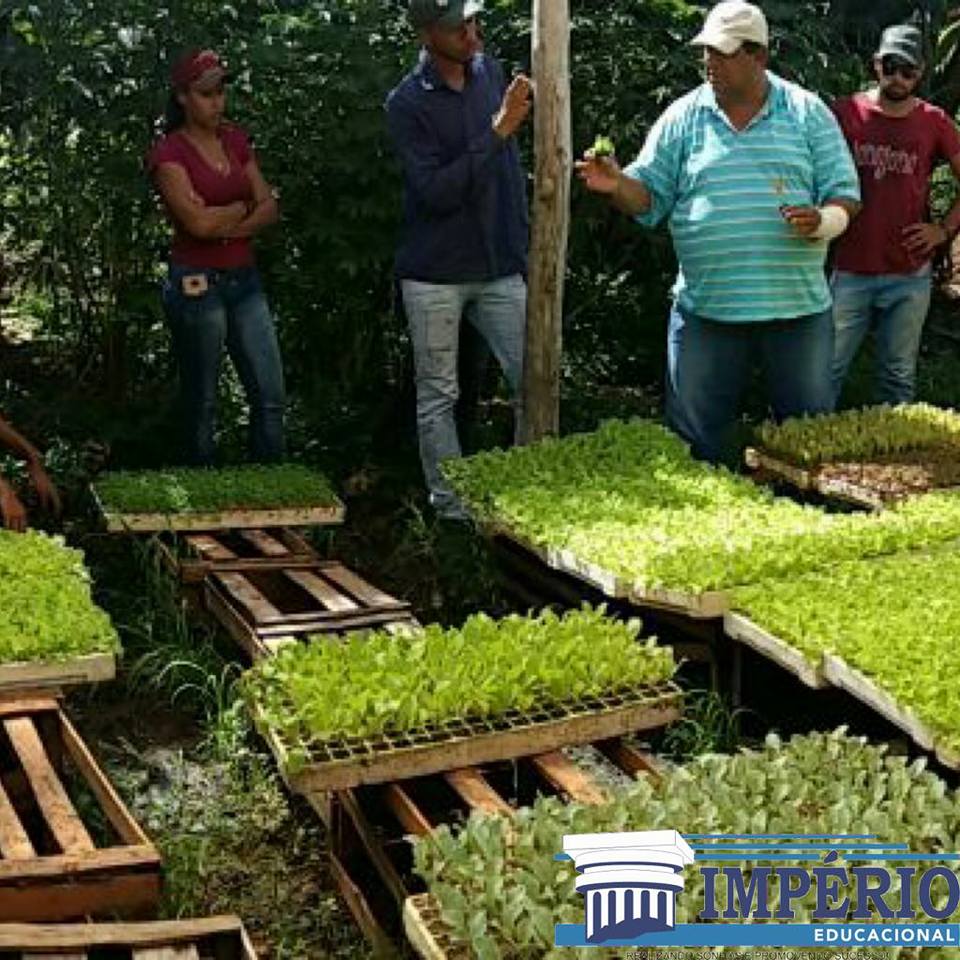 Aula prtica de propagao de hortalias com o curso tcnico em Agropecuria.